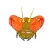 Insect Lore The World of Eric Carle Bug Goggles