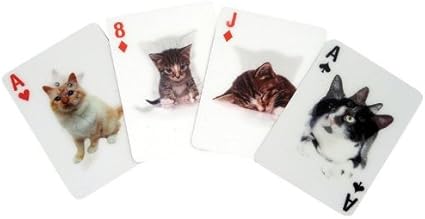 Amazon Com Kikkerland Playing Cards Cat Lenticular Kikkerland Toys Games