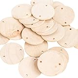 Supla 120 PCS Unfinished Wood Discs Coins Circles with Holes - DIY Family Birthday - Birthday Board Tags - 1.5