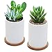 Orgrimmar 3.75 Inch Succulent Plant Pots Bamboo Trays Round Plant Saucer Owl Planter Pots for Succulents,Ceramic Cactus Flower Pot, Solution for Owl Pot with Hole, Pack of 6thumb 4