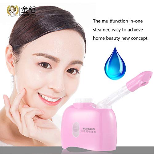 Beauty Herbal Vaporizer Aroma Ozone Vaporizer Facial Sauna Spa Facial Steamer Home Use Thermal Steam Humidifier US 220V - Thumbnail 3