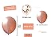 Rose Gold Party Decorations | 70 Pack | 16 R. Gold Balloons 18 INCHES + a Table Runner + a Set Happy Birthday + 2 Curtains + Pairs 60M. Ribbons + 2,100 pcs R. Gold Table Confetti + 50 Pack Straws