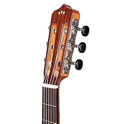 Cordoba C9 SP/MH Acoustic Nylon String Classical