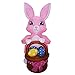 GOOSH 5 Feet Tall Easter Inflatable Pink Bunny Holds a Basket The Easter Eggs, Blow Up Inflatables with Bright Light for Holiday Party Indoor, Outdoor, Yard, Garden, Lawn Decorations