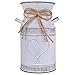 HIDERLYS 7.5" High Decorative Vase with Unique Heart-Shaped and Rope Design, Galvanized Finish- Rustic Decorated for Living Room, Bedroom, Kitchen (Grey) primary
