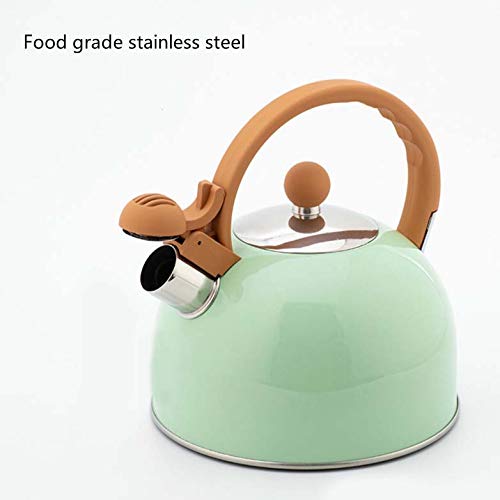 PNNUO Whistling Tea Kettle StainlessSteel 2.65Quart Tea Pot For
