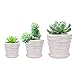 SZAT PRO Small Flower Pots Succulent Plants Pot White Pearl Glaze Ceramic Planter Plant Pots Indoor/Garden with Saucer (Set of 3,Plants Not Included)