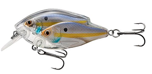 LiveTarget Threadfin Juvenile Bait Ball Square Bill with #6 Shallow Dive, Pearl/Violet Shad