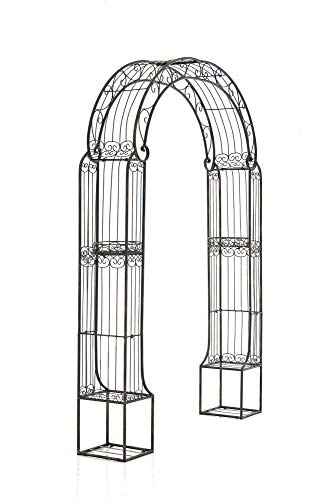 CLP Rosenbogen Alessia I Rankhilfe aus Eisen I Romantischer Rankenbogen I erhältlich, Farbe:Bronze