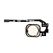 FirefixTM Touch ID Sensor Home Button Key Flex Cable with Rubber Gasket & Screwdrivers Replacement for iPhone 5S and SE(Gold)