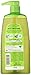 Garnier Hair Care Fructis Hydra Recharge Shampoo, 33.8 Fluid Ounce