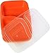 Table To Go 20-Pack Bento Lunch Boxes with Lids (2 Compartment/ 32 oz) | Microwaveable, Dishwasher & Freezer Safe Meal Prep Containers | Reusable Dish Set for Prepping, Portion Control & More (Orange)
