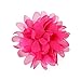 Sannysis 10 Pieces Babys Headbands Girls Headband Chiffon Flower Hair Bow