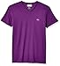 Lacoste Men's Short Sleeve V-Neck Pima Cotton Jersey V-Neck Tee, Cossak Purple, L