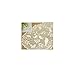 Heritage Lace Bristol Garden 14-Inch by 20-Inch Placemat, Cafe, Set of 2