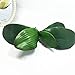 JAROWN Artificial Orchid Leaves Green 2pcs 10 Inches