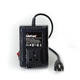 LiteFuze LC-300US 300Watt Step Up/Down Travel Voltage Converter, US Cord