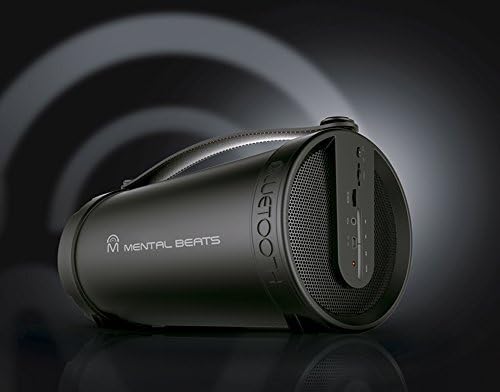 mental beats shower speaker