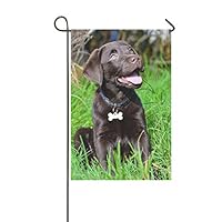 Jnseff Home Decorative Outdoor Double Sided Chocolate Labrador Puppy Garden Flag,House Yard Flag,Garden Yard Decorations,Seasonal Welcome Outdoor Flag 12 X 18 Inch Spring Summer Gift