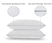 Basic Beyond Feather Down Pillow - Hotel Collection White Comfortable Soft Bed Pillow for Sleeping (Pack of 2, King Size 20x36)