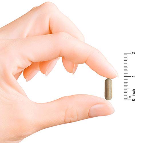 Codeage Grass Fed Bone Marrow Supplement Freeze Dried, NonDefatted