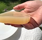 IBIV Organic Kombucha Scoby Live Strong Starter Tea Culture for Healthy Organic Raw Premium Fermented Tea (1 Large SCOBY 1 Cup Too Fizzy Starter Tea) Includes Instructions
