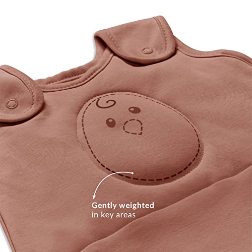 Nested Bean Zen Sack Gently Weighted Sleep Sack, Baby 615 Months