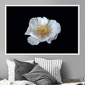 signwin Framed Canvas Wall Art White Flower Portrait...