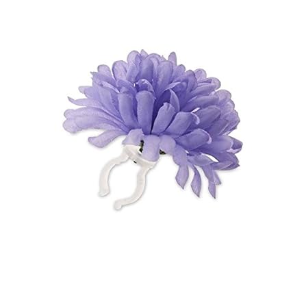 Basil Einzelne Lenker Blume Dahlia Flower Lenkerblume