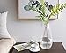 CASAMOTION Vases Hand Blown Art Glass Vase, Oxygen Bubbles Seeded Centerpiece Vases for Flower Arrangement, Clear, 12''h.
