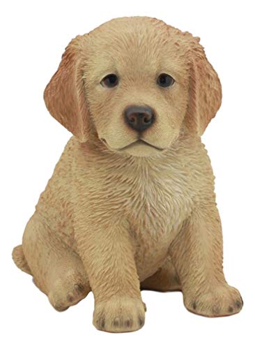 Amazon Com Ky Co Yk Realistic Lifelike Fawn Golden Retriever