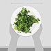 Organic Cilantro, 1 Bunch