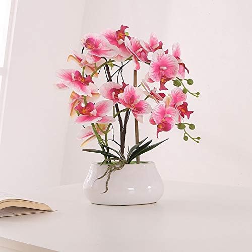 Kinbedy 人工盆栽シルク蘭 胡蝶蘭 花瓶付き ホームオフィスの装飾 パーティー 結婚式の装飾 L ピンク