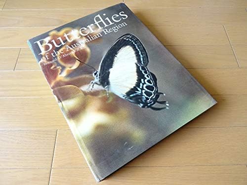 Amazon Co Jp 洋書蝶の写真集 大型本 昆虫 図鑑 チョウ 蝶々 ホビー