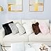 Carvapet 2 Pieces Luxury Decorative Faux Sheepskin Fur Throw Pillow Case Cushion Cover for Sofa Bedroom Couch, Black, 18x18 Inch