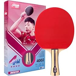 DHS Ping Pong Paddles Professional Table Tennis