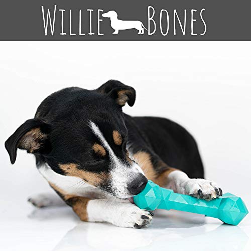 Willie Bones Modern Dog Chew Toy Almost Indestructible Dog Toys for