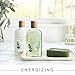 Thymes Fragrance Mist - Scented Room Spray for Home Fragrance - Eucalyptus - 3 oz