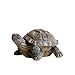 donau Garden Statues Turtle Figurines Polyresin Garden Sculpture Turtle Decor 5.1 inch