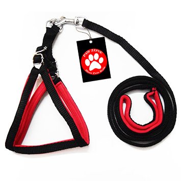 Pawzone Nylon Body Harness with Leash for Puppy and Kitten, 1/2-inch (Red)