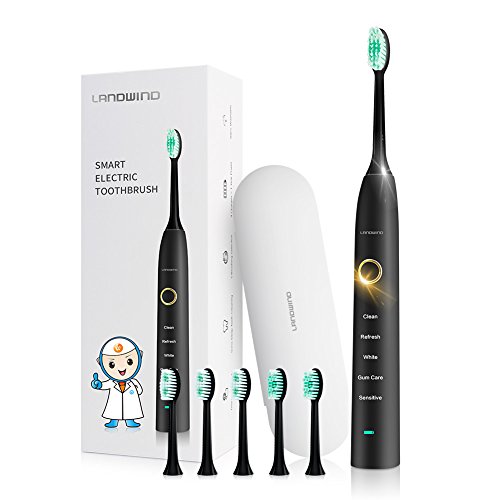 Electric Toothbrush, Electric Toothbrush with Case 5 Electric