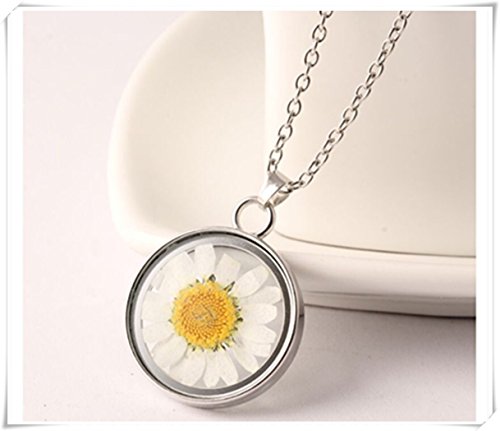 Real Flower Necklace, Glass cover， Real Dried Flowers, Birthday Gift - Thumbnail 6