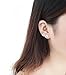Wicary Cute Cat Earrings S925 Sterling Silver Ear Studs Set of 3 pairs