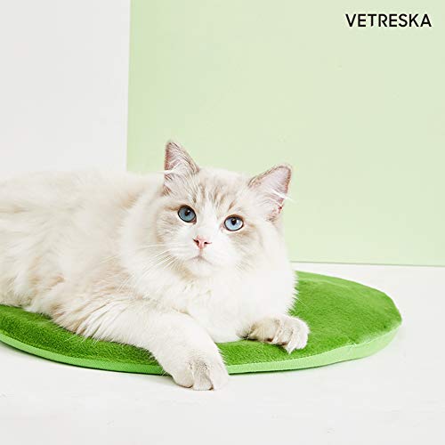 VETRESKA Cat Caves for Indoor Cats Cozy Cave Dog Bed Cat Cactus Bed with Removable Washable Cushioned Pillow Green