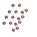 Zijing 100pcs Silver Clear Czech Glass Rhinestone Rose Montees Beads with 4 Holes for Sew On (Light Coffee color-100pcs)