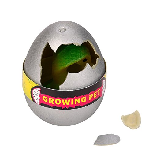 Inverlee Magic Novelty Hatching Dinosaur Egg Add Water Growing Dino Eggs Inflatable Kids Magic Fun Toy (D) - Thumbnail 2