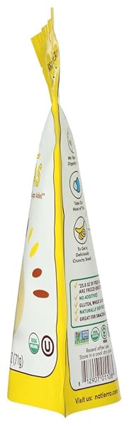 NATURES ALL BANANA FRZ DRD RAW ORG, 2.5 OZ