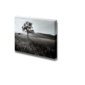 Canvas Prints Wall Art - Black and White Landscape of a Field of Wild Flowers | Modern Wall Decor/Home Decoration Stretched Gallery Canvas Wrap Giclee Print & Ready to Hang - 12" x 18"