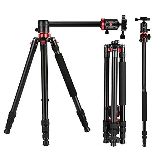Buy HIFFIN® HF550 Tripod, 65IN Special Quality Camera Tripod for Canon