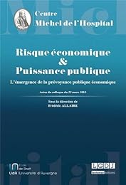 Risque économique et puissance publique